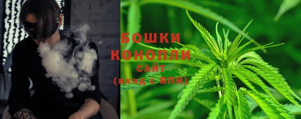 прущий лед Пестово
