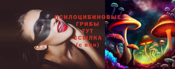 PSILOCYBIN Гусев