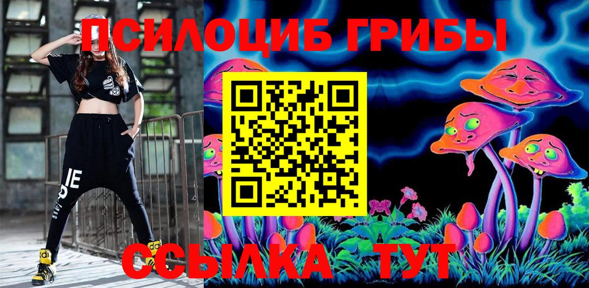 Псилоцибиновые грибы Psilocybe  Борзя 