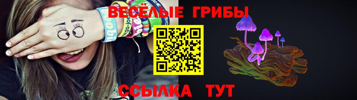 Псилоцибиновые грибы MAGIC MUSHROOMS  Вход с VPN  Борзя  Галлюциногенные грибы прущие грибы 
