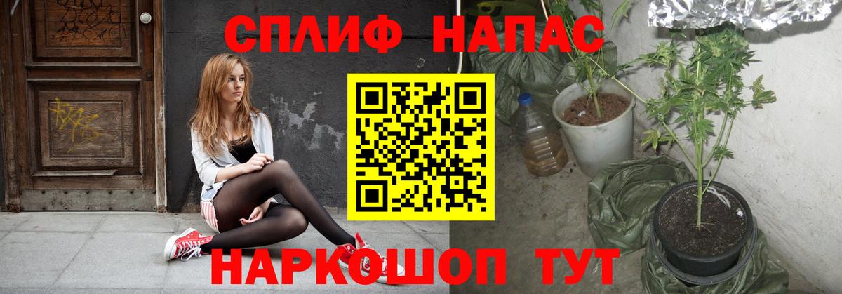 Бошки марихуана гибрид  Борзя  Канабис MAZAR  Шишки марихуана MAZAR 